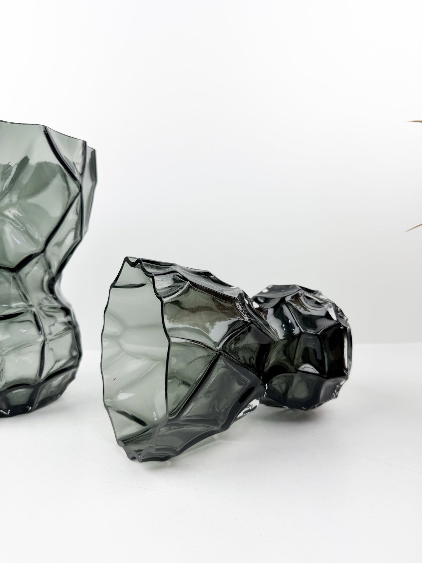 Duo de grands vases décoratifs noir élégants et intemporels.