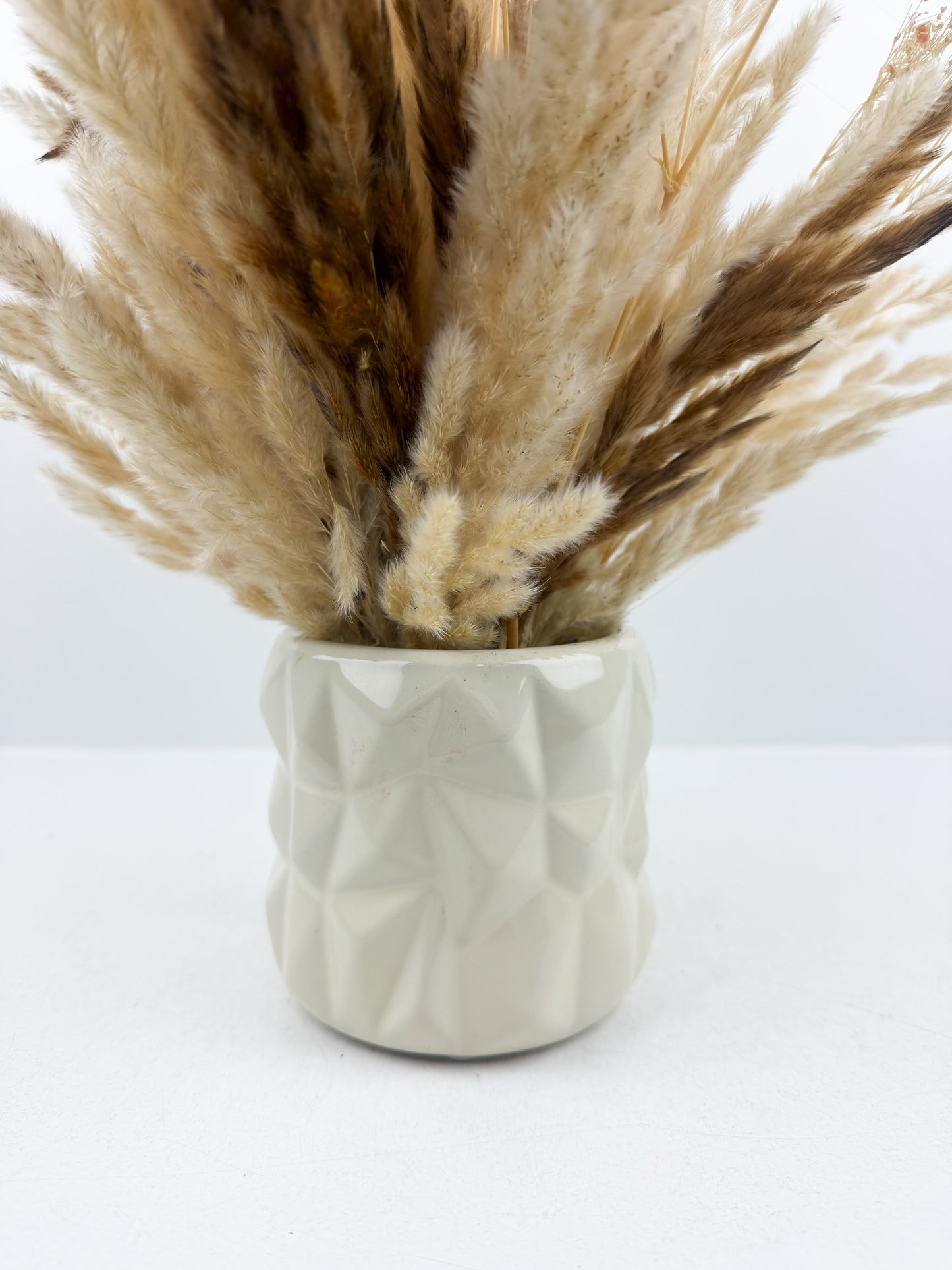 Fleurs séchées aux teintes naturelles de beige et marron d'un vase en céramique haut de gamme de couleur beige.