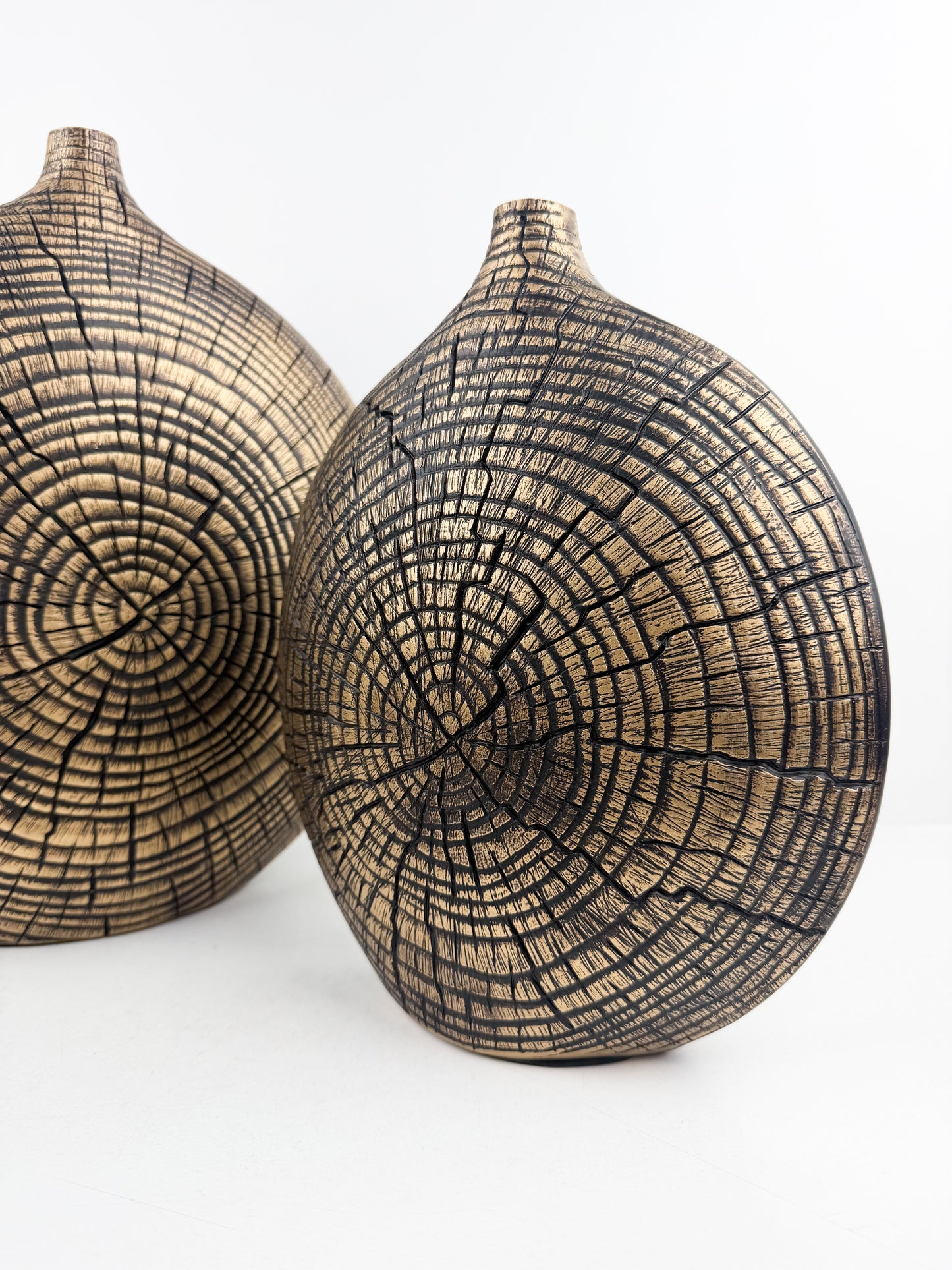 Duo de vases en résine aux formes arrondis