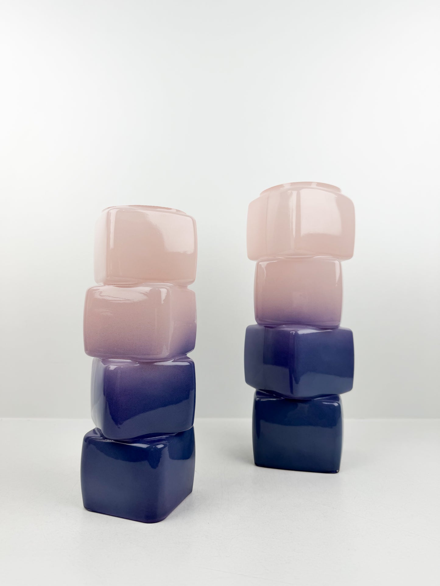 Duo de vases aux teintes captivantes