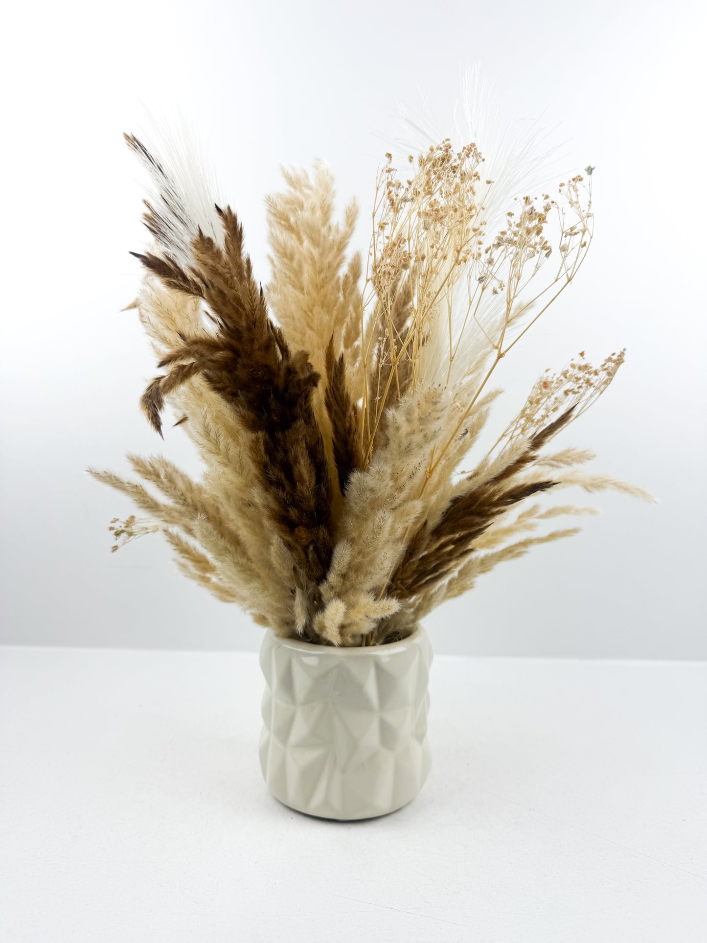 Fleurs séchées aux teintes naturelles de beige et marron d'un vase en céramique haut de gamme de couleur beige.