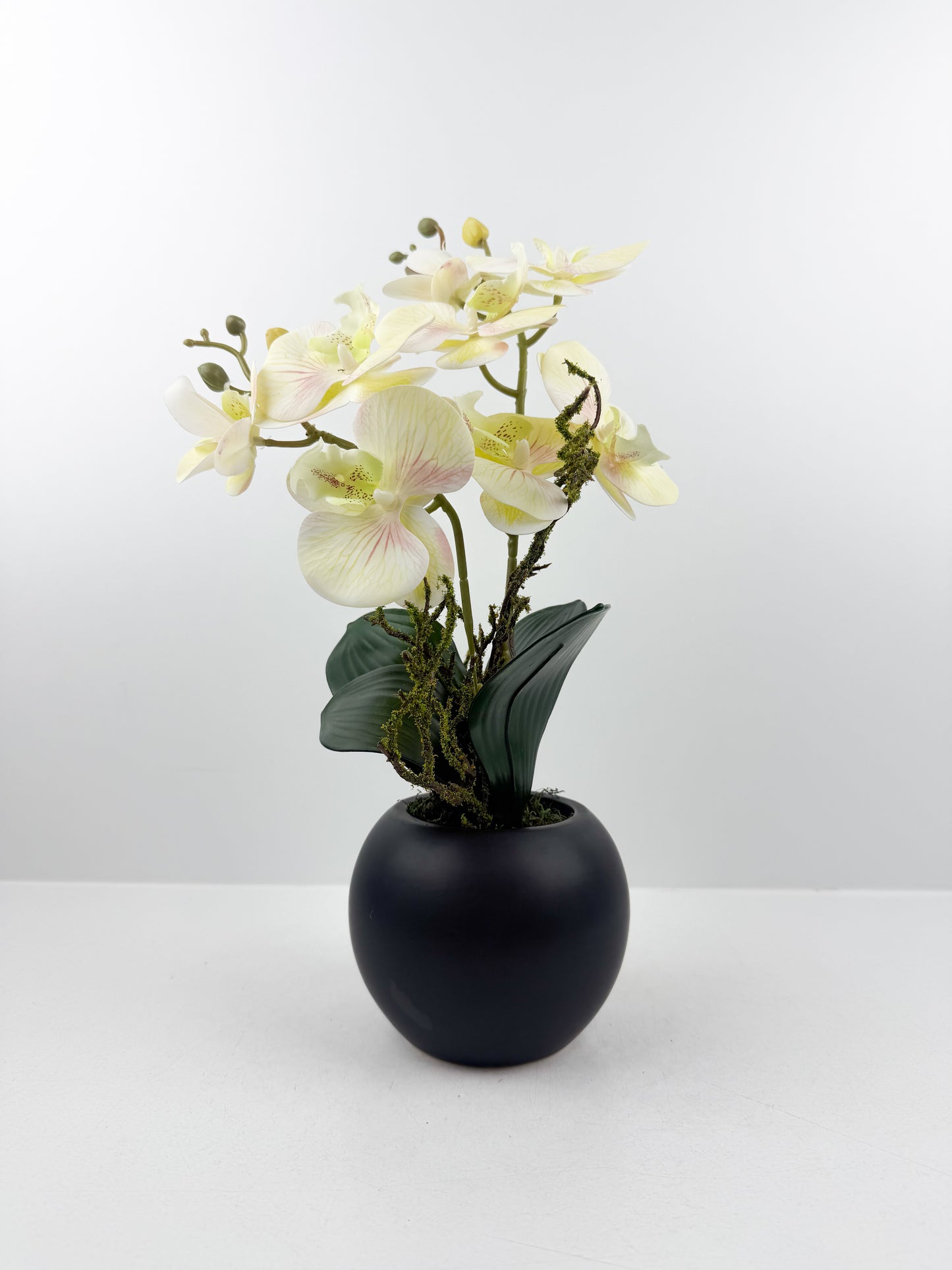 Fleurs artificielles blanches de luxe dans un pot noir haut de gamme de forme ronde