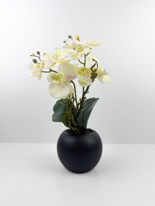 Fleurs artificielles blanches de luxe dans un pot noir haut de gamme de forme ronde